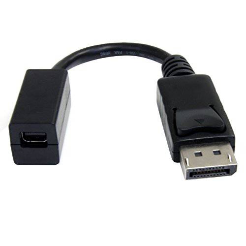 StarTech.com 6in DisplayPort,DP to MiniDisplayPort 영상 케이블 변환기 - M F - DP Male to Mini DP Female - Black DP2MDPMF6IN