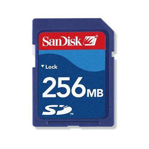 SanDisk SDSDB-256-A10 256 MB 보관 디지털 카드 (리테일 패키지)