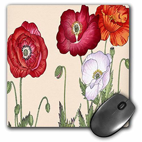 3dRose Poppy, 라지 Blooms 인 Red, Orange, 버건디 and 하얀 - 마우스 Pad, 8 by 8 inches (mp_171288_1)