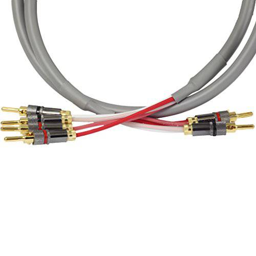 Blue Jeans Cable Canare 4S11 스피커 케이블, Welded 잠금 Bananas, Bi-Wire Terminations, 40 Foot (싱글 케이블 - 원 스피커) 조립된 in The USA