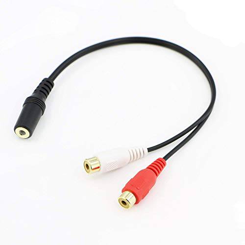 Pasow 3.5mm 스테레오 Male to 2RCA Male (Right and Left) RCA 오디오 케이블 (100 Feet)