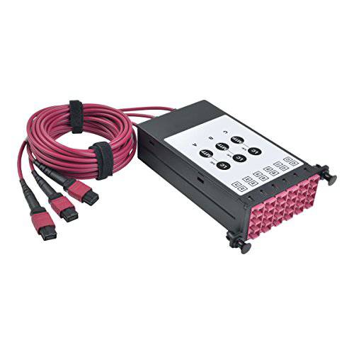 Tripp Lite OM4 40 GB to 10 GB Fiber Optic 카세트 x3 8-Fiber OM4 MTP/ MPO to x12 LC Duplex (N482-3M8L12-B)