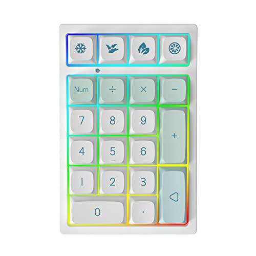 YUNZII YZ21 핫 스왑가능 기계식 숫자 키패드, RGB 21 키 유선 미니 숫자패드 게이밍 키패드 (게이트론 Yellow 스위치, 민트)
