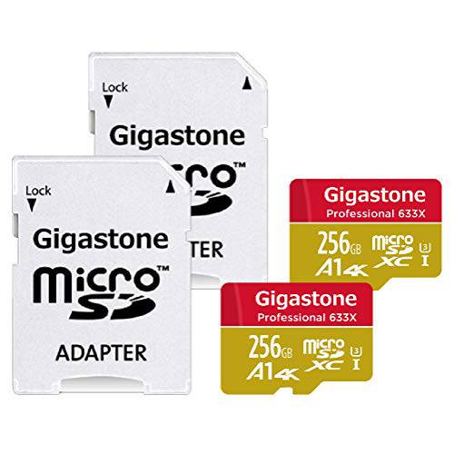 Gigastone 256GB 2-Pack PROFESSIONAL A1 4K 마이크로 SD 카드 SDXC UHS-I U3 C10 Class 10 닌텐도스위치 호환가능한 4K UHD 비디오 100MB S