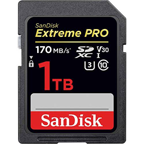 SanDisk 1TB Extreme 프로 SDXC UHS-I 카드 - C10 U3 V30 4K UHD SD 카드 - SDSDXXY-1T00-GN4IN