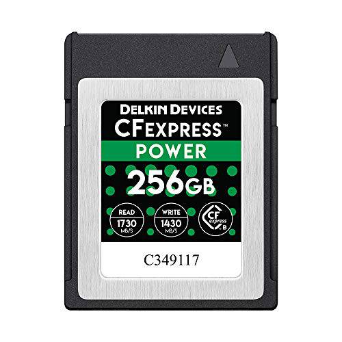 Delkin 디바이스 256GB 파워 CFexpress Type B 메모리 카드 (DCFX1-256)