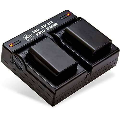 BM 프리미엄 2 팩 of 하이 용량 EN-EL25 배터리 and 듀얼 베이 배터리 충전기 니콘 Z50, Z 50, Z fc 디지털 카메라