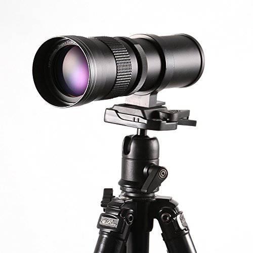 Ruili 420-800mm F/ 8.3-16 HD 수동 망원 Zoom 렌즈 for 캐논 EOS EF 마운트 DSLR 카메라 Such as Rebel t6 t6i t7i 6D 6DII 5D 5DIII 5Div 1300D 40D 50D 60D 1200D 1100D 1000D 760D 750D 700D