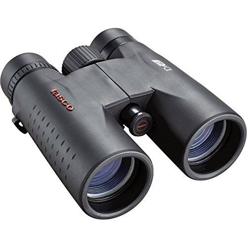 TASCO ES10X42 에쎈셜 루프 Prism 루프 MC 박스 Binoculars, 10 x 42mm, Black