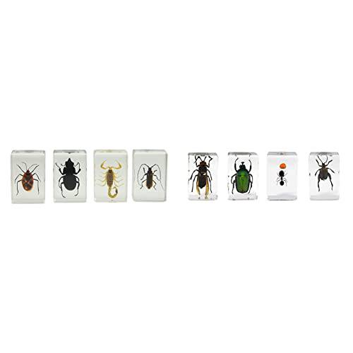Celestron 44407 3D 벌레 표본 키트 1 (블랙, 브라운, Yellow)& 3D 벌레 표본 키트 5 - Observe 곤충 - Ideal 악세사리 Any Celestron 디지털 현미경 (44425)