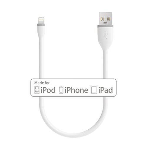 Satechi 플렉시블 애플 MFi 인증된 라이트닝 USB 충전 케이블 - 호환가능한 아이폰 11 프로 맥스/ 11 프로/ 11, Xs 맥스/ Xs/ XR/ X, 8 플러스/ 8 (10-Inch, 화이트)
