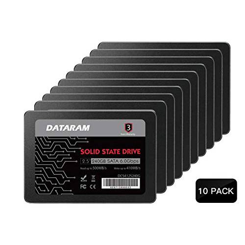 DATARAM 2.5 SSD SSD (10 팩 240GB)