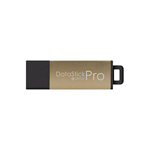 Centon USB 2.0 Datastick 프로 (골드 메탈릭,메탈), 128GB