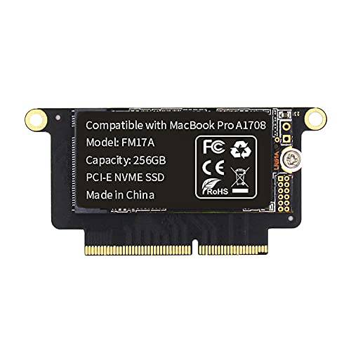 FLEANE FM17A 256GB PCIE 3.0x4 NVME 3D 낸드 TLC 플래시 SSD 맥북 프로 레티나 A1708 (Late2016 - Mid2017), 포함 DIY 툴 (256GB)