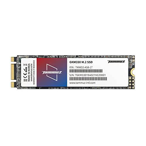 TAMMUZ GKM330 128GB M.2 인터페이스 2280 내장 SSD M.2 SSD 폼 팩터 Backward 호환성