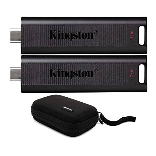 Kingston 1TB DataTraveler 맥스 USB 3.2 세대 2 Type-C 플래시드라이브 (2-Pack) 스토리지 케이스 번들,묶음 (3 아이템)