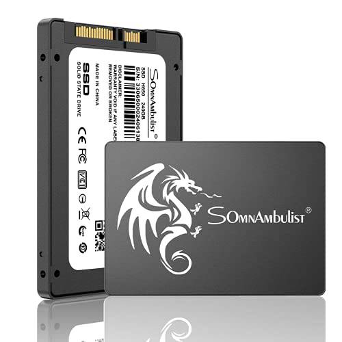 Somnambulist SSD 120GB 2.5″ 7mm(0.28″) SATA III 6Gb/ s 내장 솔리드 State 하드디스크 3D 낸드 Up to 520Mb/ s 노트북 and Pc (120gb 블랙 드래곤)