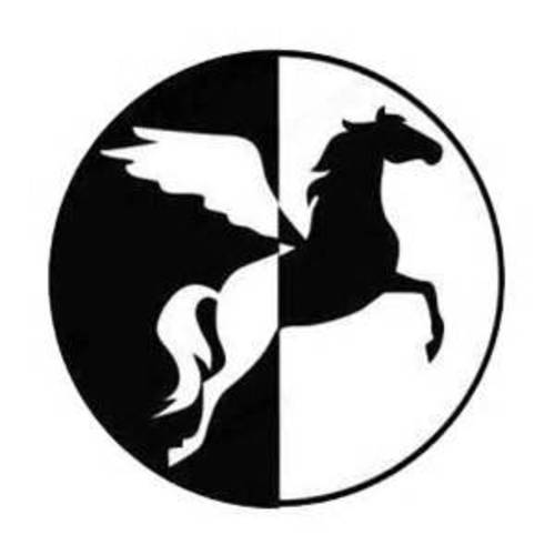 Chase Grace Studio Pegasus Horse 별자리 Vinyl 데칼,스티커 Sticker|Black|Cars 트럭 밴 SUV 노트북 벽면 Art|5.5 X 5.5|CGS331