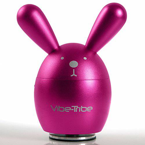 Vibe-Tribe Bunny: 컴팩트 진동 스피커& MP3 플레이어 SD-Card MP3 리더, 리더기, FM 라디오 and IR 리모컨, 원격