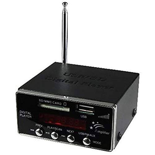 컴팩트 MP3 플레이어 FM 튜너 - 라인 출력 플레이어 - USB and SD 카드