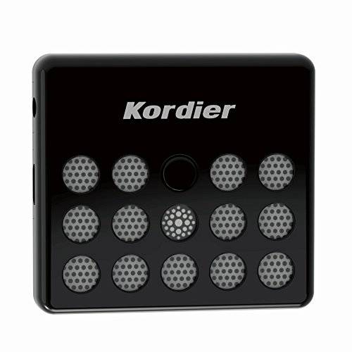 Kordier FM 스테레오 라디오 리시버 어댑터 보스 사운드독 and Other 30-pin 스피커 도크