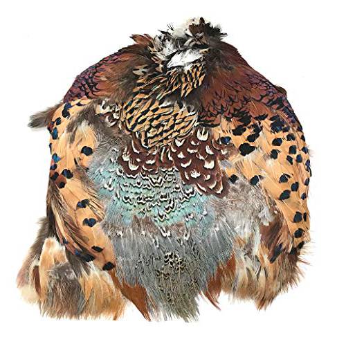 A 아메리칸 FEATHERS 깃털 PRODUCTS Ringneck Pheasant 스킨 2 등급 - Product of U.S.A