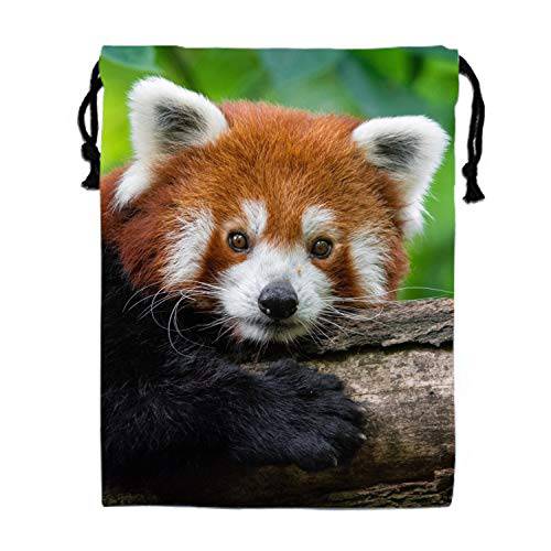 동물 레드 Panda Cinch 색 백 패션 스포츠 색팩