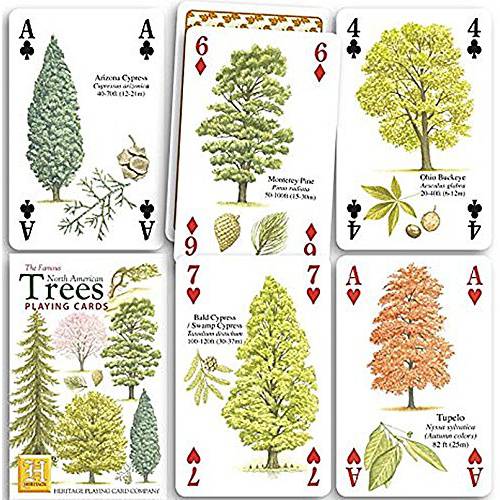 북쪽 아메리칸 Trees 플레이 카드