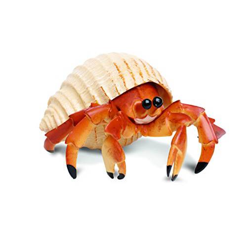 SafariLtd인크래더블 생물 Hermit Crab