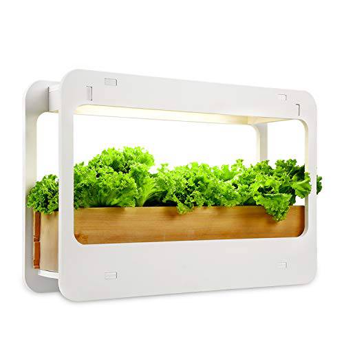 가정용 식물재배기 텃밭 LED 실내정원 스마트팜 수경재배기 채소 허브재배 키트